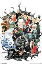 DC Comics - Batman - VIllains Poster picture