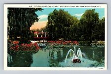 Wilmington NC-North Carolina, Greenfield Lake and Park, Vintage Postcard picture