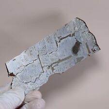 198g Muonionalusta meteorite,Natural meteorite slices,Collectibles,gift L85 picture