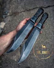 Bowie Knife ( Rare find ) picture