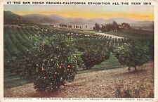 1915 San Diego Exposition Back Country Agriculture Orange Grape Olives Postcard picture