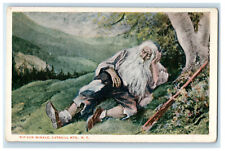 c1920s Rip Van Winkle, Catskill Mountains New York NY Unposted Postcard picture