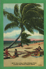 Postcard Crandon Park Beach  Miami Florida Fl Life Of Ease Under Swaying Palms picture