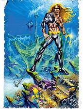 Aquaman Poster Art By Craig Hamilton 1994 NEW & RARE picture