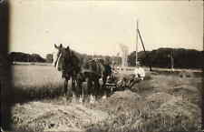 Horse Plowing Farming McCormick Machinery c1920s Real Photo Postcard picture