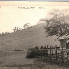 c1910s Nara, Japan Mount Wakakusayama Wakakusa Grass Mountain Collo Postcard A55 picture