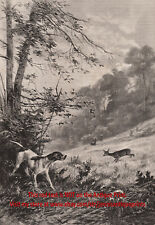 Dog Pointer English & Deer in Double Point, Large 1890s Antique Print picture