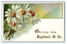 1909 Yellow and White Flower, Greetings from Highland WV Embossed Postcard picture