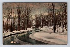 Coldwater MI-Michigan, Winter Scene Watsons Woods, Vintage c1913 Postcard picture