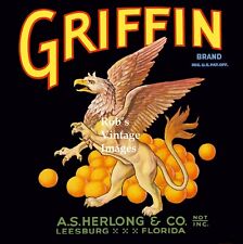  Leesburg Florida Griffin Brand Orange Citrus Fruit Crate Label Art Print picture