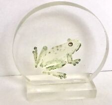 Frog Lucite Design Art Paperweight MCM Vintage picture