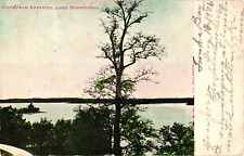 1906 Katahdin Lake Minnetonka Minneapolis Minnesota Hand Colored Postcard picture