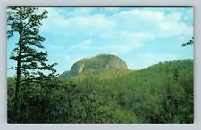 Appalachian Mt. Pisgah Forest Looking Glass Rock Vintage North Carolina Postcard picture