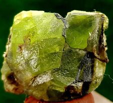 13 Gram Paridote Top Quality Olive Green Paridote Crystal On Specimen @ Supat picture