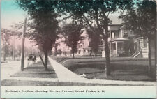 Grand Forks ND Residence Section Reeves Avenue c1913 Postcard F85 picture
