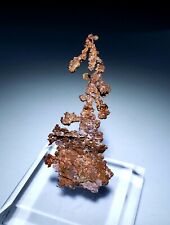 ***STUNNING-Sparkling Dendritic Copper crystal, San Manuel mine Tiger Arizona*** picture