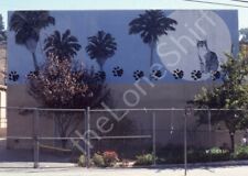 1979 Los Angeles 1600 W Fargo St Cat Moon Art Mural California 35mm Film Slide picture