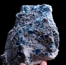 596g Natural Transparent Phantom Window Blue Cube Fluorite Mineral Specimen picture
