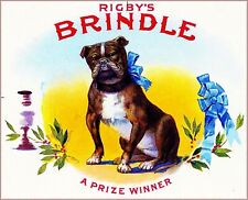 Rigby's Brindle Smoke Vintage Cigar Box Crate Pit Bull Terrier Dog Label Print picture