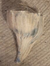 Vintage Whelk Conch Sea Shell Large 8