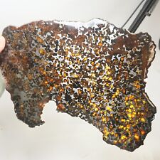 650g Beautiful SERICHO pallasite Meteorite slice - from Kenya C6744 picture