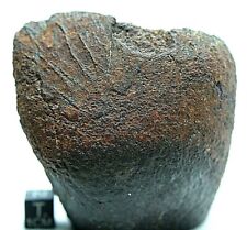 NWA XXX Meteorite ~ 451 grams*** Nicely shaped outer space meteorite picture
