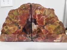 STUNNING Arizona Petrified Wood Book Ends Felted Pair  21 POUNDS picture
