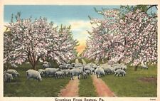 Vintage Postcard Greetings From Saxton Pennsylvania PA Tichnor Quality Pub. picture