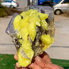 3LB Minerals ** LARGE NATIVE SULPHUR OnMATRIX Sicily With+amethyst Crystal picture