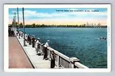 Miami FL-Florida, Fishing From The Causeway, Antique, Vintage Postcard picture