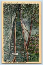 Chimney Rock North Carolina NC Postcard Looking Up 141 Step Stairway Needle Eye picture