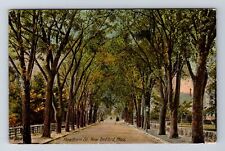New Bedford MA-Massachusetts, Hawthorn Street, Advertise Vintage c1911 Postcard picture