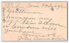 1883 WJ Young & Co. Lisbon Iowa IA Clinton IA Antique Posted Postal Card picture