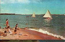 Jacksonville FL-Florida, Sailing Along the Shore Greetings Vintage Postcard picture