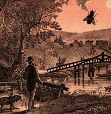 1884 Dr. E. C. Abbey Toll Gate #4 Puzzle Card Quack Medicine Sexual Buffalo N.Y. picture