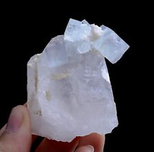 81g Natural Blue And White Porcelain Fluorite & Crystal Mineral Specimen/China picture