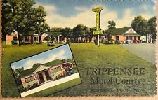 Sebring Florida Trippensee Motel Courts Gas Station Vintage Postcard 1952 picture