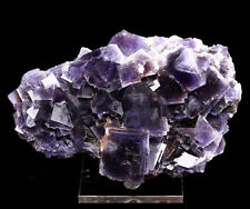 Natural Clear Purple Phantom Cube Fluorite Crysal Cluster Mineral Specimen picture