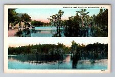 Wilmington NC-North Carolina, Scenes In Lake Side Park Souvenir Vintage Postcard picture