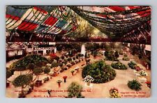 Chicago IL-Illinois, Interior Of Coliseum, Flower Show, Vintage c1907 Postcard picture