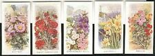 CIGARETTE CARDS. Abdulla Tobacco. OLD FAVOURITES.( FLOWERS). (1936). (Full Set). picture