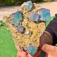 310G Rare Transparent Green+Purple Cube Fluorite Mineral Crystal Specimen picture