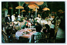 c1950's Playing Violin for Customers The Manila Hotel Philippines Postcard picture