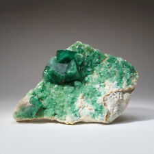 Genuine Green Fluorite from Namibia (3.5lbs) picture