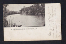Hammond LA Louisiana River Scene Vintage Tangipahoa Parish Postcard picture