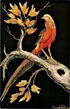 Beautiful Golden Pheasant Morris Katz postcard a28 picture