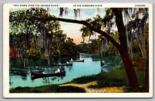 Florida Swanee River Scenic Swampland Landscape Canoes WB Cancel WOB Postcard picture