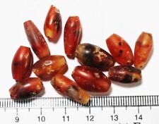 ZURQIEH -AS22546- ANCIENT EGYPT. 1650 - 1550 B.C CARNELIAN BEADS (12pcs) picture