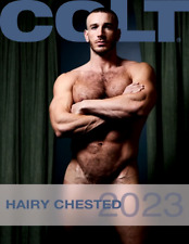 COLT STUDIOS | Hairy Chested | 2023 CALENDAR | BRAND NEW / SEALED LIMITED picture