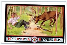 c1910's Elk BPOE Deer Hold On I'm Brother Elk BPOE Unposted Antique Postcard picture